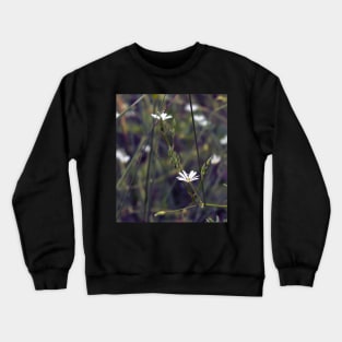 Tiny white flower on the grass background Crewneck Sweatshirt